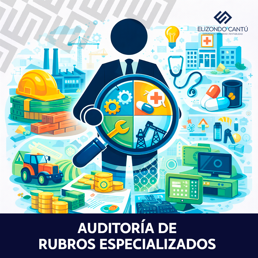 AUDITORÍA DE RUBROS ESPECIALIZADOS